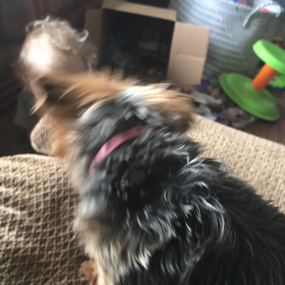 Meet your Posher, Loretta